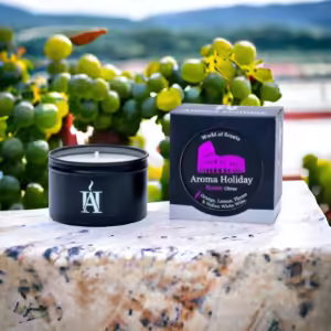 AromaHoliday Candle Subscription Gifts for Her idea Rome Italy Citrus gift Soy Wax Candle Tin