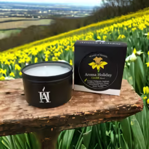 Cardiff Wales scented Daffodil floral aroma candle scented luxury tin