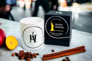 New York Glass Candle Aroma Holiday Gift, keeping those travel vibes alive
